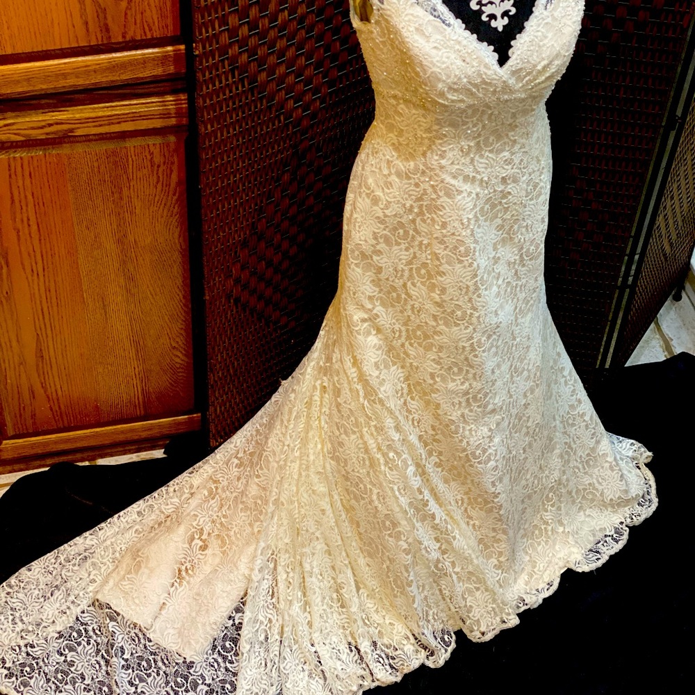 David’s Bridal off white lace size 12 wedding dress with petticoat